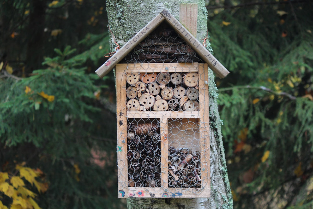 Insektenhotel aus Holz